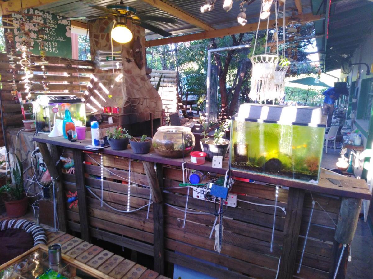 Xenia Bed & Breakfast 温特和克 外观 照片