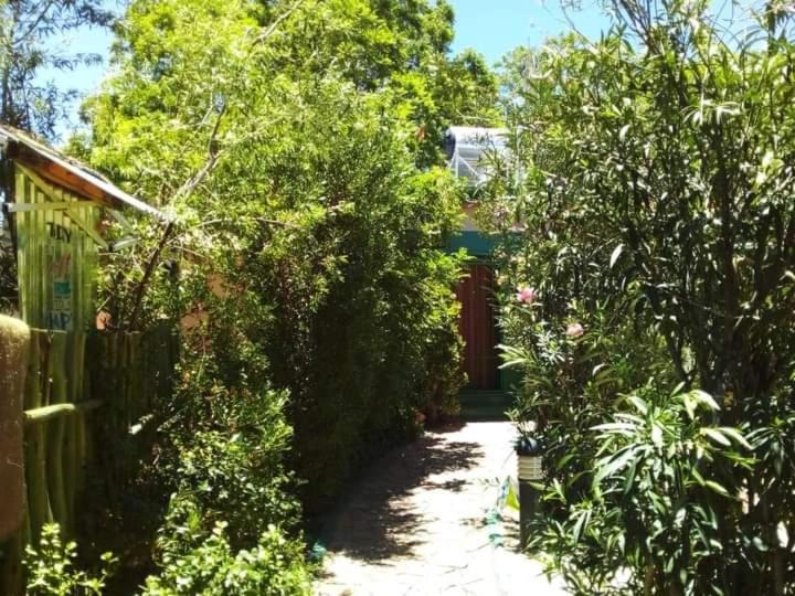 Xenia Bed & Breakfast 温特和克 外观 照片